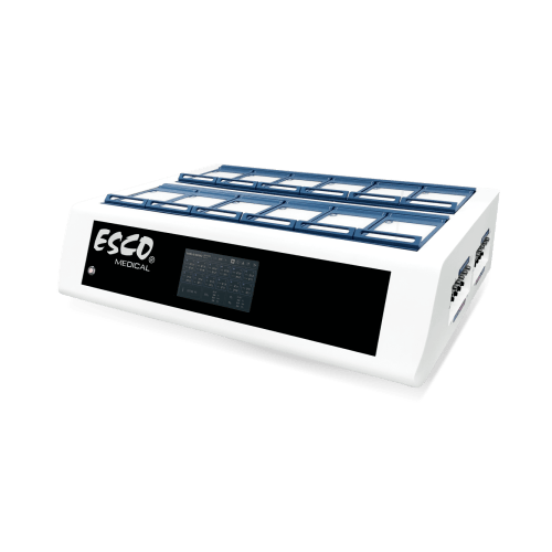 INCUBADORA PLANA PARA 12 PLAZAS