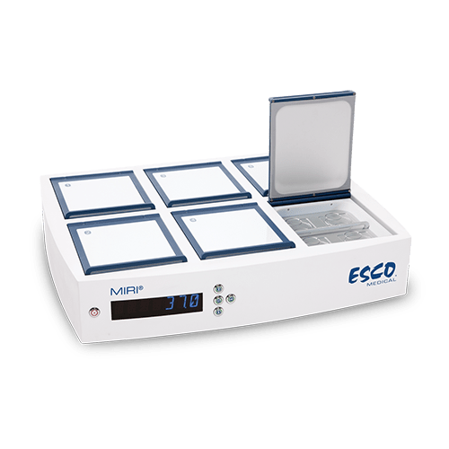 INCUBADORA PLANA DE 6 PLAZAS